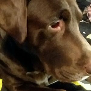 Meet your Posher, Sara